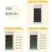 ANNAFRIS Premade Fan Lash Extension 5D W 0.07 D Curl 9-13mm Pre Made Russian Volume Eyelash Hand Woven Lash Soft Faux Mink False Lashes(5D W 0.07 D Curl 9-13mm MIX) 0.07-D-9-13mm - Buy Online on GoSupps.com