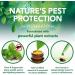 Vet's Best Flea Treatment - 8 Ounces - Buy Online on GoSupps.com