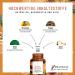 Wohlenzyme 800mg Bromelain & Papain - Vegan Enzyme Complex for Immune & Digestive Support - Nature Loop  - Buy Online on GoSupps.com