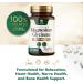Magnesium Glycinate 500mg - Chelated for Ultra Absorption - Supports Bone Muscle Nerves & Heart Health Nature's Sleep Support Best Magnesium Supplement Pills for Whole Body Support - 120 Tablets 120 Count (Pack of 1) - Buy Online on GoSupps.com