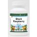Black Raspberry - 450 mg (100 Capsules ZIN: 519368) - 3 Pack
