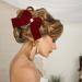 ALLY-MAGIC Bow Hair Clips Large Red Bowknot Hairpin Christmas Velvet Hair Bow Clips French Hair Barrettes Accessories for Women Girls Birthday Party Christmas Gifts Y4SRHDJ - Buy Online on GoSupps.com