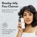 Cleen Beauty Rosehip Jelly Face Cleanser - Gentle Paraben-Free Wash with Rosehip Oil & Rose Water for Women (6 fl. oz - Buy Online on GoSupps.com