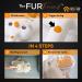 PETS-TOP 3 in 1 Spray Cat Brush for Long and Short Hair Cats Anti-Static with Water Tank, Self-Cleaning Button - Buy Online on GoSupps.com