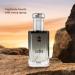 Ajmal Carbon EDP For Men - Made In Dubai (Direct From - Buy Online on GoSupps.com