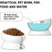Y YHY Raised Ceramic Cat Food Bowl - 15oz Elevated Pet Water Bowl - No Spill, Dishwasher Safe White - Buy Online on GoSupps.com