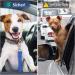 Oyefly Universal Dog Seat Belt Elastic Safety Belt for Dogs & Cats | Strong Carabiners | Fits All Car Types (Blue) - Buy Online on GoSupps.com