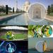 LIMENG Mini Telescope for Adults - 99x HD Optical Focus, Waterproof Monocular for Sports, Concerts, Camping & Traveling - Black - Buy Online on GoSupps.com