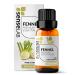 SenseLAB Fennel Essential Oil - 100% Pure Extract Fennel Oil Therapeutic Grade for Diffuser and Humidifier - Focus and Productivity Oil - Hair and Skin Care Oil (10 ml) Fennel 10ml