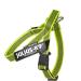Buy Julius-K9 Belt Harness XS Mini-Mini Neon-Grey | Best Quality Dog Harness for Global Shipping - Buy Online on GoSupps.com