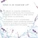 SpaRoom Breathe Easy Essential Oil Blend - 10ml (0.33 fl oz) - Made in USA - Buy Online on GoSupps.com