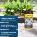 Tetramine Granules - Premium Slowly Sinking Fish Feed for Mid-Water Fish - 250 ml (100 g) - Ideal Aquarium Nutrition - Buy Online on GoSupps.com