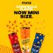 Buy SunChips Minis Harvest Cheddar Whole Grain Chips | 3.75 oz Canister - Delicious Cheddar Cheese Snack - International Shipping Available - Buy Online on GoSupps.com