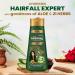 Kesh Roi Aloevera Shampooing Revitalisant Base De Plantes Pour Plus Longtemps Plus Fort Et Soyeux 300Ml De Cheveux De Regard - Buy Online on GoSupps.com