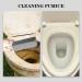 4PC Bimsstein Cleaning Blocks with Handle - Strong Urine Stone Remover for Toilet & Household Cleaning - Buy Online on GoSupps.com