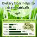 90g Cat Grass Treats Cat Grass Teething Stick for Hairball Remove and Teeth Cleaning Edible Cat Grass Stick Snack - Buy Online on GoSupps.com