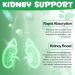 Kidney Support Drops for Dogs and Cats 60ml for Healthy Kidney Function in Cats and Dogs Natural Herbal Supplements Increase Immunity (Dogs) - Buy Online on GoSupps.com