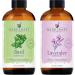 Handcraft Basil Essential Oil - 100 % Pure and Natural - Premium Therapeutic Grade with Premium Glass Dropper - Huge 4 Fl Oz
