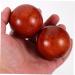 Ultechnov 6 STK Massage Balls - Muscle Massage & Acupuncture Point Therapy | Healthy Fitness & Stretching Balls | Wooden & Bamboo Gymnasium Balls - Buy Online on GoSupps.com