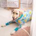YeaPeeto One-Divider Pajamas for Large & Medium Dogs - Relaxation Wound Protection Allergy Relief Anti-Lick Cone Alternative (6XL Dinosaurs) - Buy Online on GoSupps.com