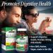 Nature's Answer Red Raspberry Leaf - Vegan Dietary Supplement for Digestive Health | 90 Non-GMO Vegetarian Capsules - Buy Online on GoSupps.com
