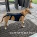 KOSDFOGE Dog Back Brace for Dogs Arthritis Polyester Strong Rigidity Flexible Back Supporting Vest for Walking Dogs Back Prevention(S) - Buy Online on GoSupps.com