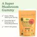 Plant People - WonderDay Mushroom Gummies Mini | Daily Gummy Multi Support for Whole Body Balance, Mood, De-Stress, Energy, Immune and Gut Health | Natural, Vegan, Non-GMO | Trial Size - Buy Online on GoSupps.com