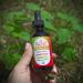 Eclectic Institute Organic Lemon Balm Extract 2 fl oz - Natural Herbal Remedy - Buy Online on GoSupps.com