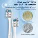 Professional Clean Replacement Toothbrush Heads | Fade Reminder Stiff Bristles | Compatible with usmile Electric Toothbrush Y1S/P1/U3 | 4 Pack - Buy Online on GoSupps.com
