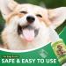 Pet Oral Spray Pet Teeth Care Freshens Breath Without Brushing and Reduces Tartar Build-up in Petscat Dental Care (1) - Buy Online on GoSupps.com