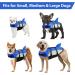 Alagirls Ripstop Dog Lifeguard Vest with Rescue Handle - Medium to XL for Small Medium & Large Dogs (Chest Circumference 66-78cm) - Blue-Gray - Buy Online on GoSupps.com