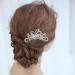3 Piece Bridal Wedding Hair Clip Comb Pearl Bridal Hair Accessories Pearls Wedding Decoration Headpiece for Women Ladies Brides and Bridesmaids(3 Style) Style 1 - Buy Online on GoSupps.com