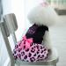 Shop Cuteebone Little Miss Sassy Pants Dog Leopard Dress - Stylish Dresses for Small Dogs & Puppies | Rosa Dog Clothing CVA15XXS-DE - Buy Online on GoSupps.com