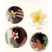 Shop IOSPKKIO Floral Hair Clips - 4 Pack Non-Slip Strong Hold Large Clamps for Thick Hair - Hawaiian Style in 4 Colors - Buy Online on GoSupps.com