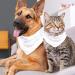 Shop Triangular Dog & Cat Scarves - Colorful Butterfly Bibs for All Sizes | 2-Piece Set - Buy Online on GoSupps.com