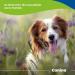 Canina Pharma Caniletten 300g - Buy Online on GoSupps.com