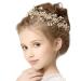 Flower Girl Rhinestone Headpiece Bridal Wedding Hair Accessories for Wedding Gold Crystal Headpiece Crystal Headband Pearl Hair Jewelry Wedding Hairband Princess Headpiece