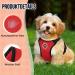 Slowton Dog Harness - No Pull Safety Harness for Small & Medium Dogs | Soft Padded & Breathable LED Design - Buy Online on GoSupps.com