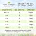 Buy Plant Therapy Organic Ginger Root CO2 Essential Oil 10 mL - 100% Pure Undiluted Aromatherapy - International Shipping Available - Buy Online on GoSupps.com