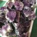 Natural Amethyst geode Cluster Purple Quartz Stones Crystal geode Amethyst Cluster for Home Decoration Crystal ERBDRGAZ (Color : Purple Size : 100-200g) 100-200g Purple - Buy Online on GoSupps.com