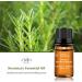 Buy 100% Pure Organic Rosemary Essential Oil for Diffuser Massage & Soap Making - International Shipping Available - Buy Online on GoSupps.com