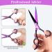 Professional Hairdresser Scissors Set - Effy 6.7 Stainless Steel Cutting Scissors with Comb & Clip for Home Salon - Purple - Buy Online on GoSupps.com
