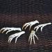Wixine Fox Feet Articulated Bones Claws | Taxidermy Art Supplies - Buy Online on GoSupps.com