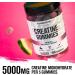 Jacked Factory Creatine Monohydrate Gummies 5g Daily Dose (1g per Gummy) - Creatine Gummy for Men and Women Vegan-Friendly Travel-Friendly Third-Party Tested - 150 Gummies Watermelon & Lemon - Buy Online on GoSupps.com