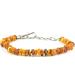Buy Amberpetcare Amber Chain for Dogs & Cats | Natural Amber Neck Band Against Ticks - Premium Baltic Amber (45-50) - Buy Online on GoSupps.com