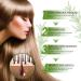 Shelure Hair Growth Oil Shelure Hair Regrowth Oil Shelure Hair Regrowth Treatment Oil Natural Hair Growth Oil Hair Regrowth Extract Oil Hair Growth Oil for Women (1) - Buy Online on GoSupps.com