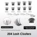 204PCS DIY Cluster Eyelashes - D Curl Individual Extensions | Reusable Volume Lashes for Home Use (DM27+DM28) - Buy Online on GoSupps.com