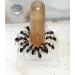 AntHouse 10ml Ant Nectar | Protein Syrup for Queen Ants & Ant Colonies - Optimal Nutrition for Stronger Colonies - Buy Online on GoSupps.com