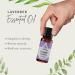 Essential Oil Set 4X 0.33 Fl Oz | Lavender Rose Jasmine Vanilla | Aromatherapy Diffuser Oils for Home & Office Relaxation - Buy Online on GoSupps.com