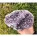 Natural Crystal Rough Amethyst 1.7kg Large Natural Amethyst Crystal Cluster Quartz Stone - Buy Online on GoSupps.com